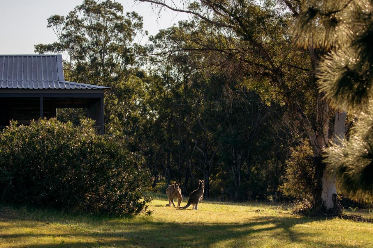 Palmers Lane Estate Hunter Valley Pokolbin Exterior foto